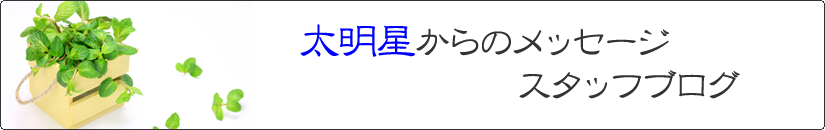 birubo_blog.png